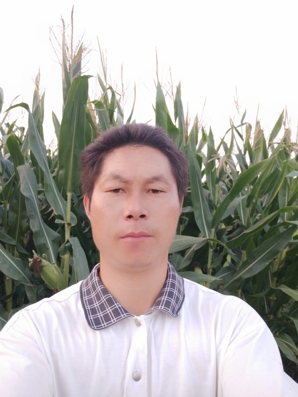 四海游龙的第一张照片--惠州相亲服务中心