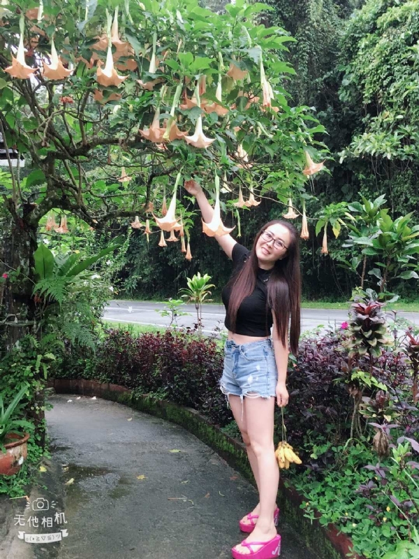 离异单身无子的第二张照片--惠州相亲服务中心