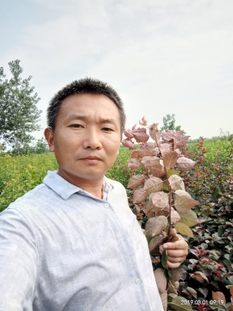 孩子爸的第一张照片--惠州相亲服务中心