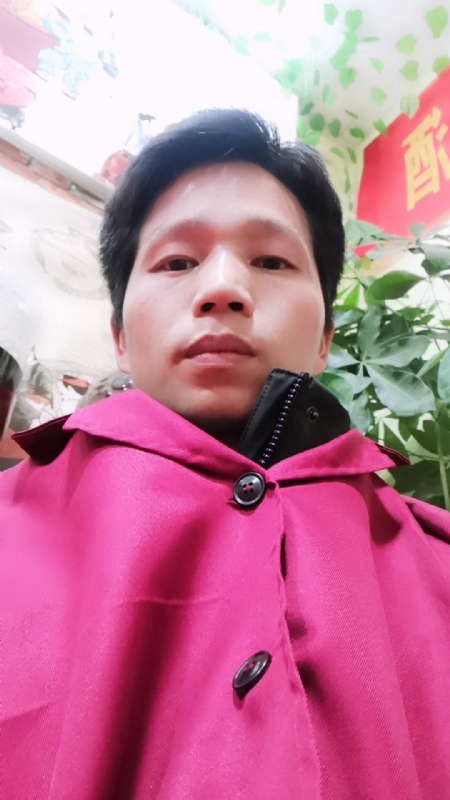 单身的林凡的第二张照片--惠州相亲服务中心