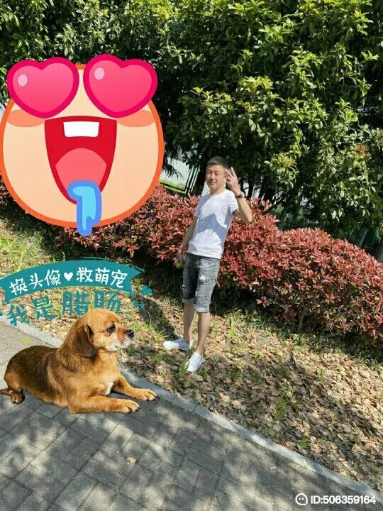 我若不坚强谁替我勇敢的第一张照片--惠州相亲服务中心