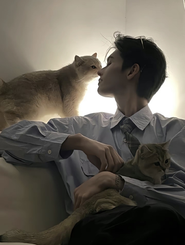 怪猫的第一张照片--惠州相亲服务中心