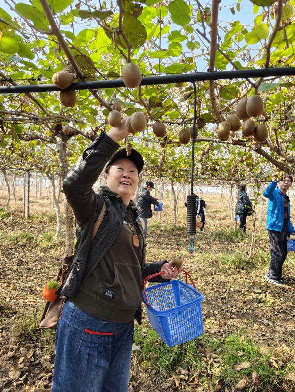 夜莺的第四张照片--惠州相亲服务中心